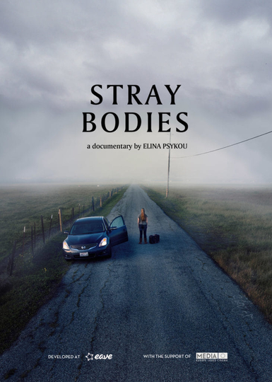 Stray Bodies