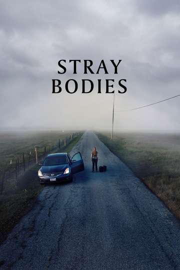 Stray Bodies Poster
