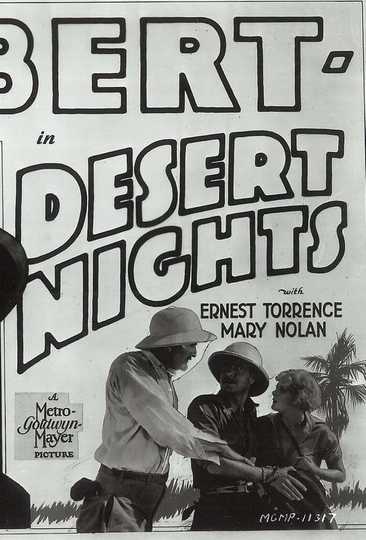 Desert Nights Poster