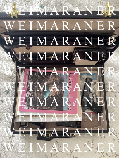 W E I M A R A N E R Poster