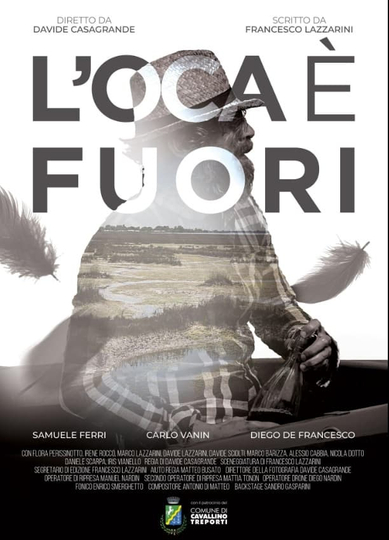 L'oca è fuori Poster