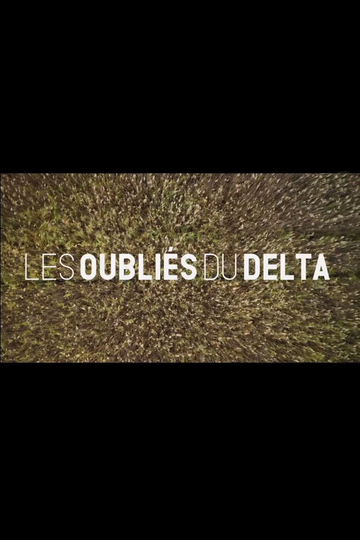 Les oubliés du Delta Poster