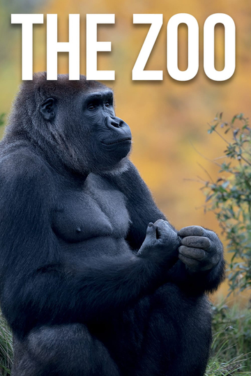 The Zoo