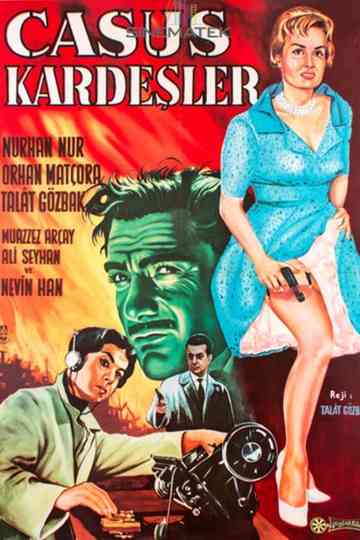 Spy Brothers Poster