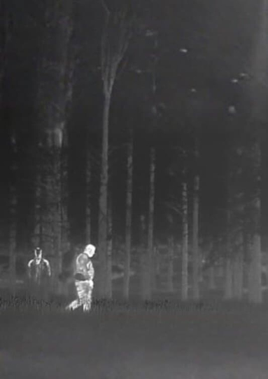 Untitled Trailcam Footage Poster