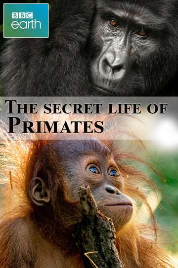 The secret life of Primates - Movie Cast, Reviews, Trailers & Streaming ...