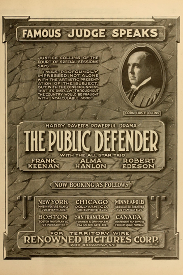 The Public Defender Poster