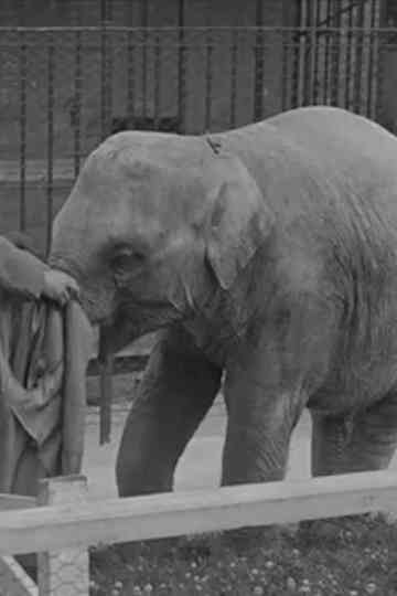 The Thirteenth Instant Poster