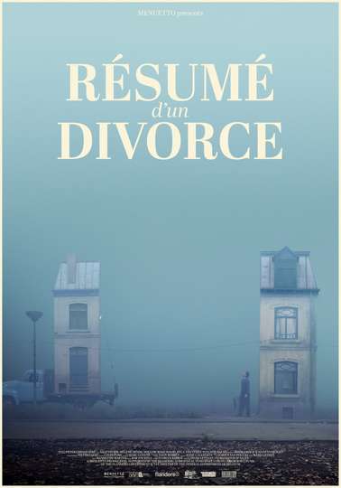 Manual for a Divorce Poster
