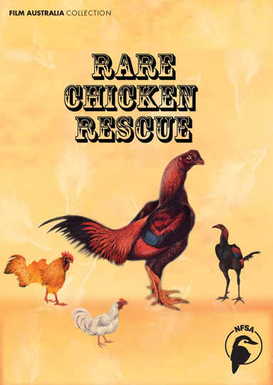 Rare Chicken Rescue