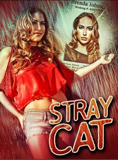 Stray Cat Poster