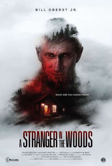 A Stranger in the Woods Poster