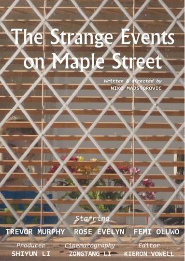 The Strange Events on Maple Street Poster