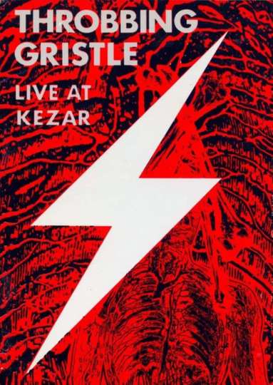 Throbbing Gristle - Live At Kezar Poster