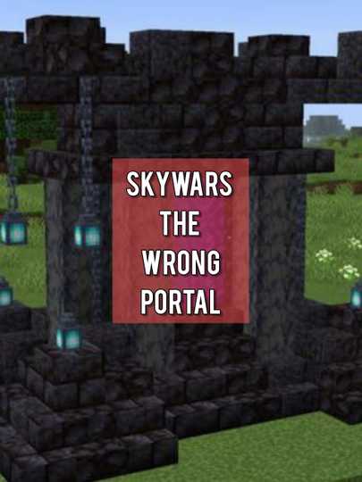 Skywars: The Wrong Portal Poster