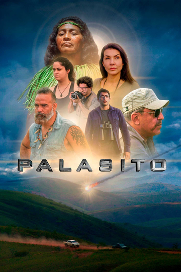 Pallasite Poster