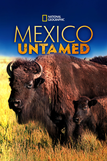 Mexico Untamed