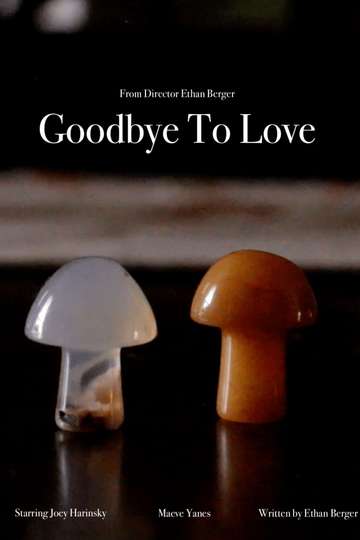 Goodbye To Love Poster