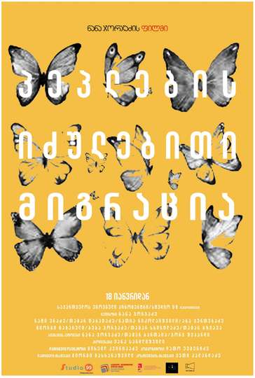 Forced Migration of Butterflies Poster