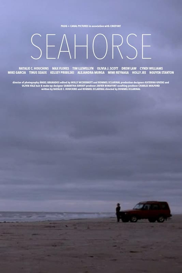 Seahorse Poster