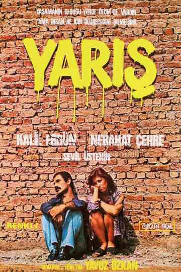 Yarış
