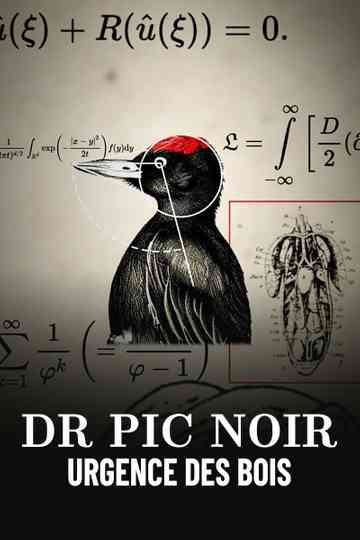 Dr Pic Noir, urgence des bois Poster