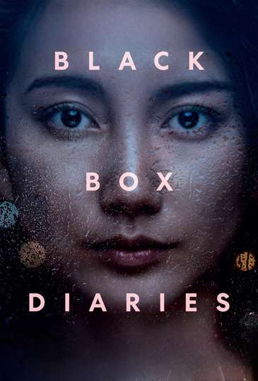 Black Box Diaries Poster