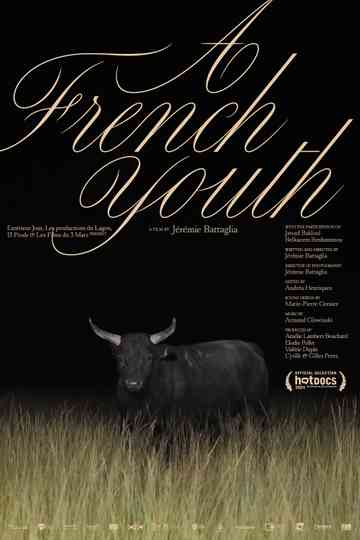 A French Youth Poster