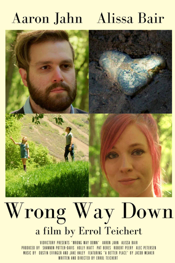 Wrong Way Down Poster