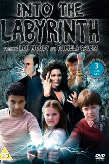Into the Labyrinth Poster