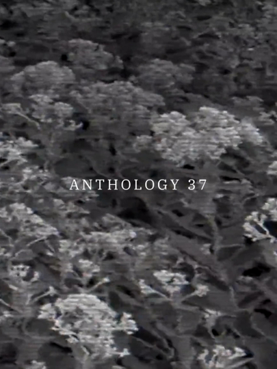 Anthology 37 Poster