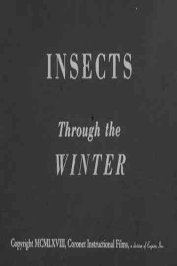 Insects Through the Winter