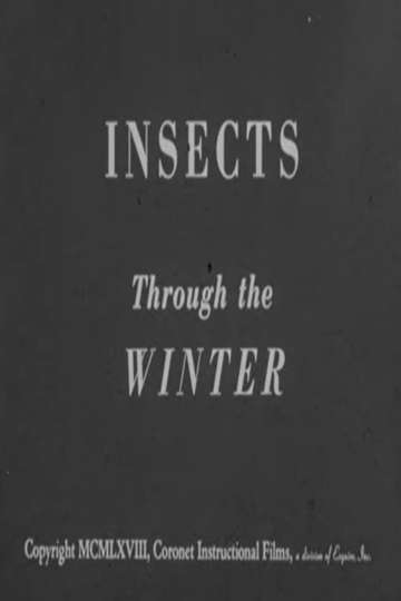 Insects Through the Winter