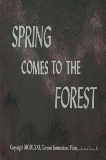 Spring Comes to the Forest