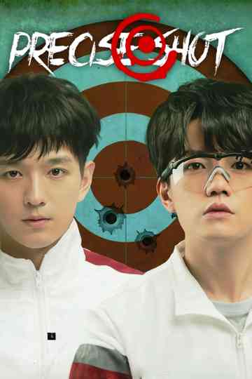 Precise Shot poster