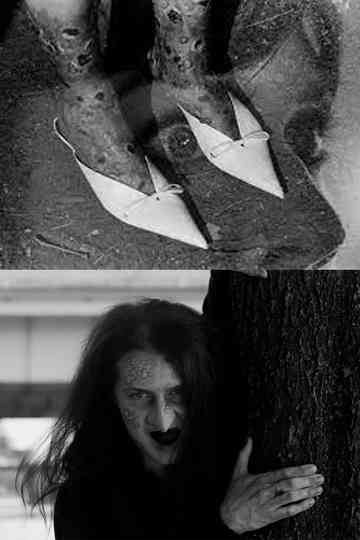 The Pointy Slippers