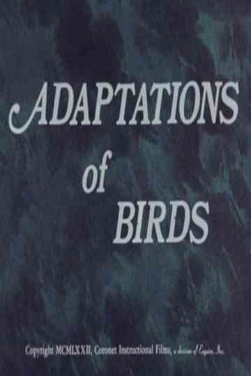 Adaptations of Birds