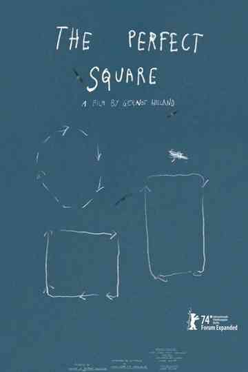 The Perfect Square