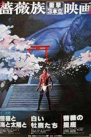 Rose Constellation Poster