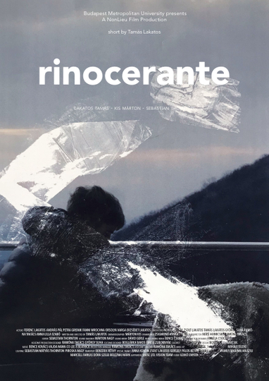 Rinocerante Poster