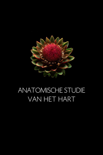 Anatomische Studie van het Hart Poster