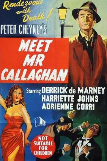 Meet Mr. Callaghan Poster