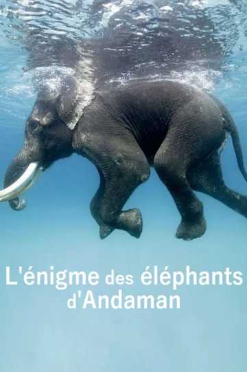 L'énigme des éléphants d'Andaman Poster