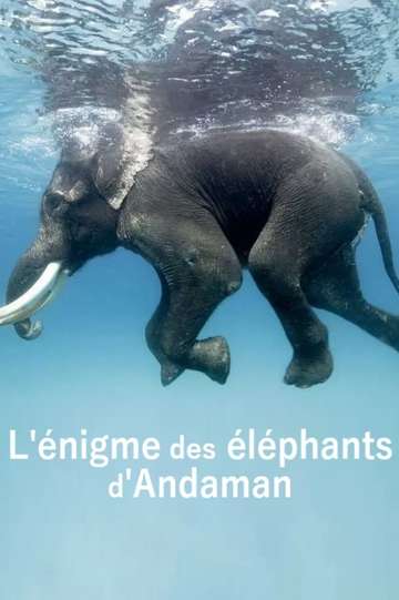 L'énigme des éléphants d'Andaman