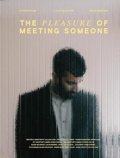 The Pleasure of Meeting Someone Poster