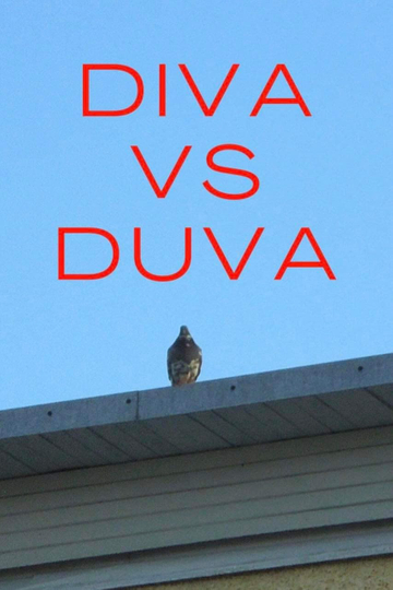 Diva vs. Duva Poster