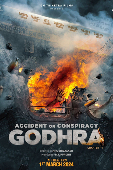 Accident or Conspiracy: Godhra Poster