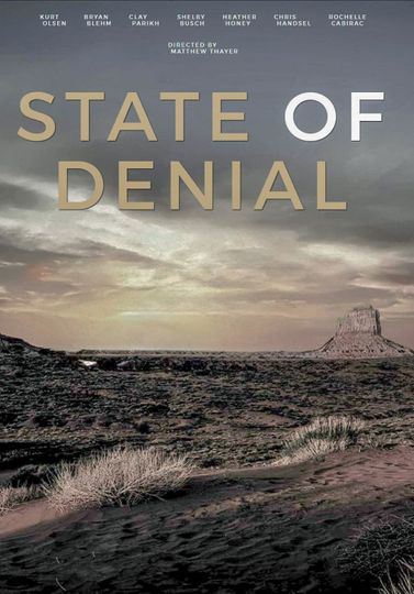 State of Denial: Arizona Poster