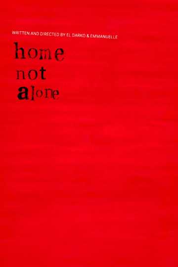 Home Not Alone Poster