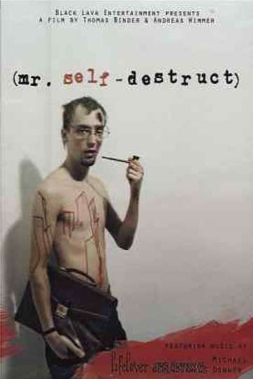 Mr. Self-Destruct Poster